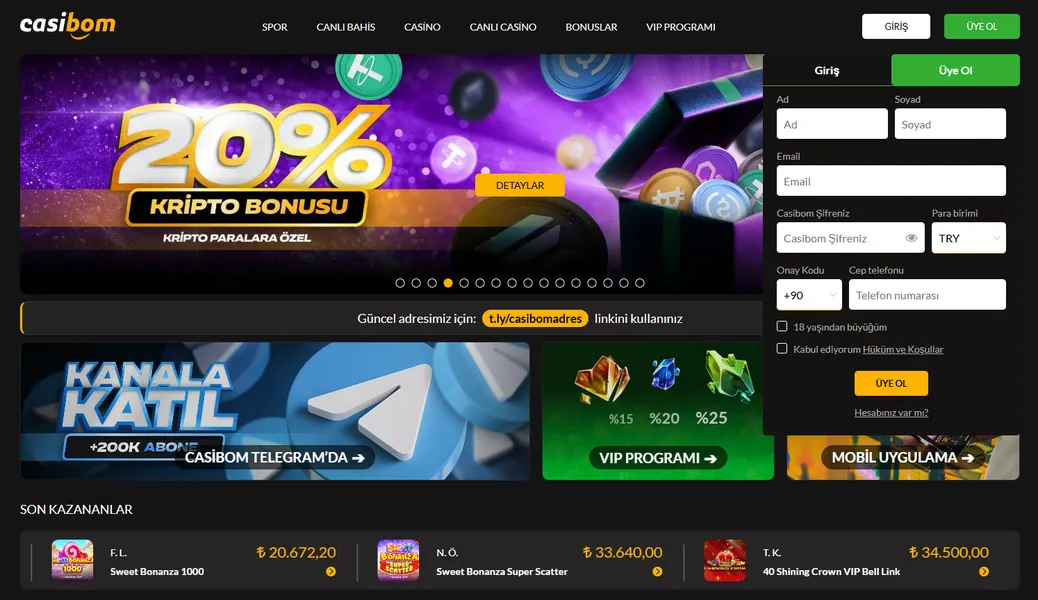 Giriş ve kayıt süreci